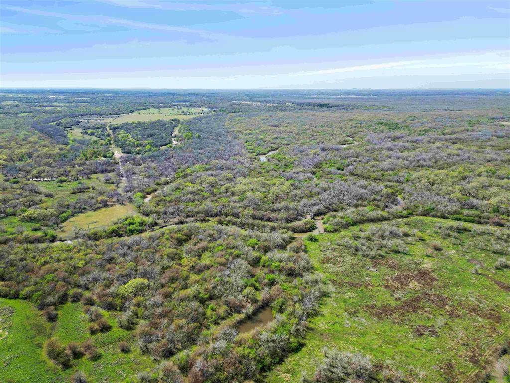 TBD Cr 401, Anderson, Texas image 13