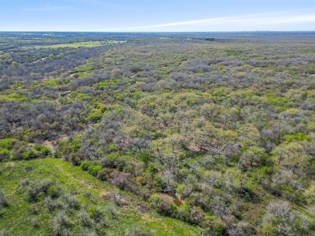 TBD Cr 401, Anderson, Texas image 7