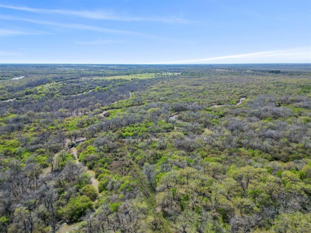 TBD Cr 401, Anderson, Texas image 9