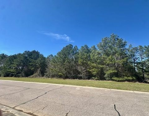 26130 E Crown Crossing Drive Montgomery TX 77316
