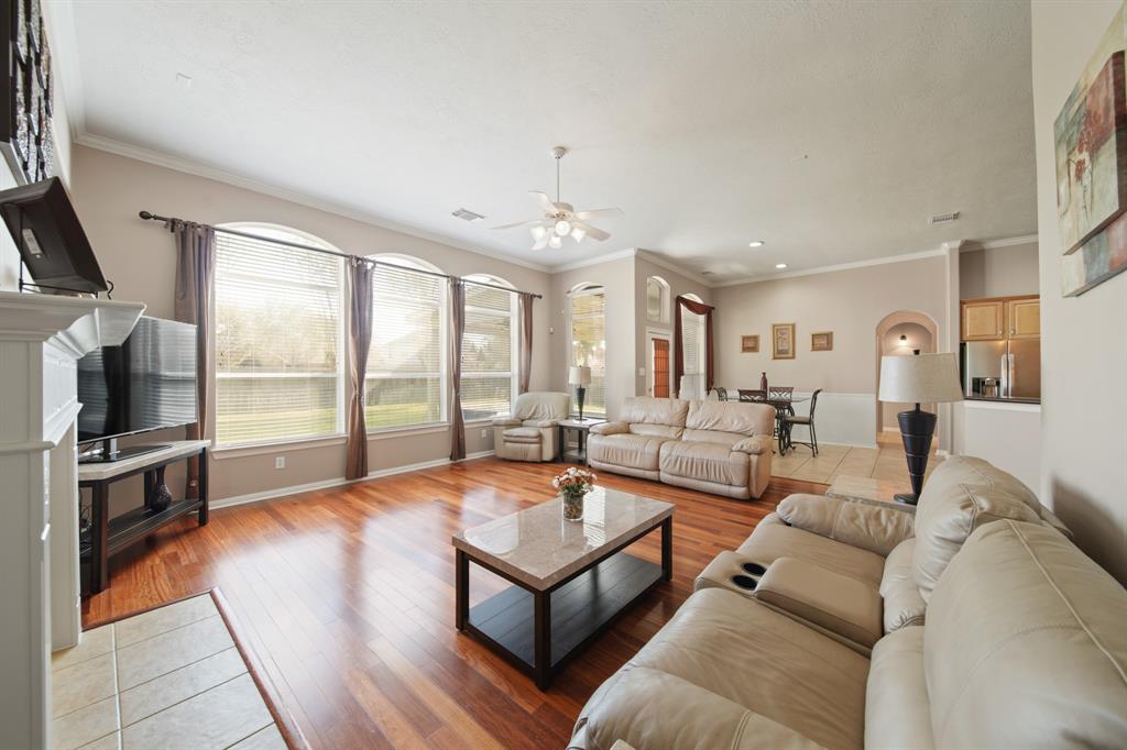 1003 Vatican Court, Pearland, Texas image 22
