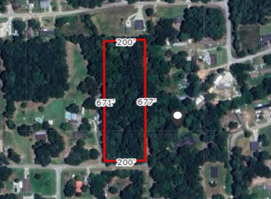 Heights Boulevard, New Caney, Texas image 3