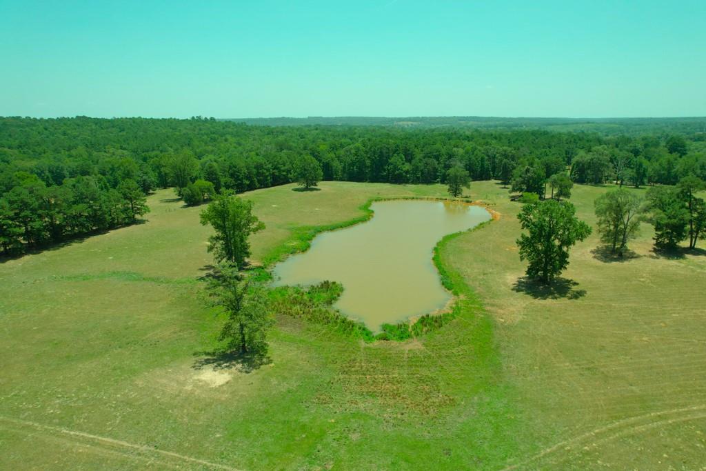 TBD Fm 323 / Acr 1224, Elkhart, Texas image 1