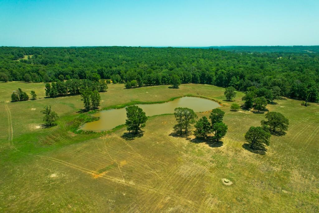 TBD Fm 323 / Acr 1224, Elkhart, Texas image 2