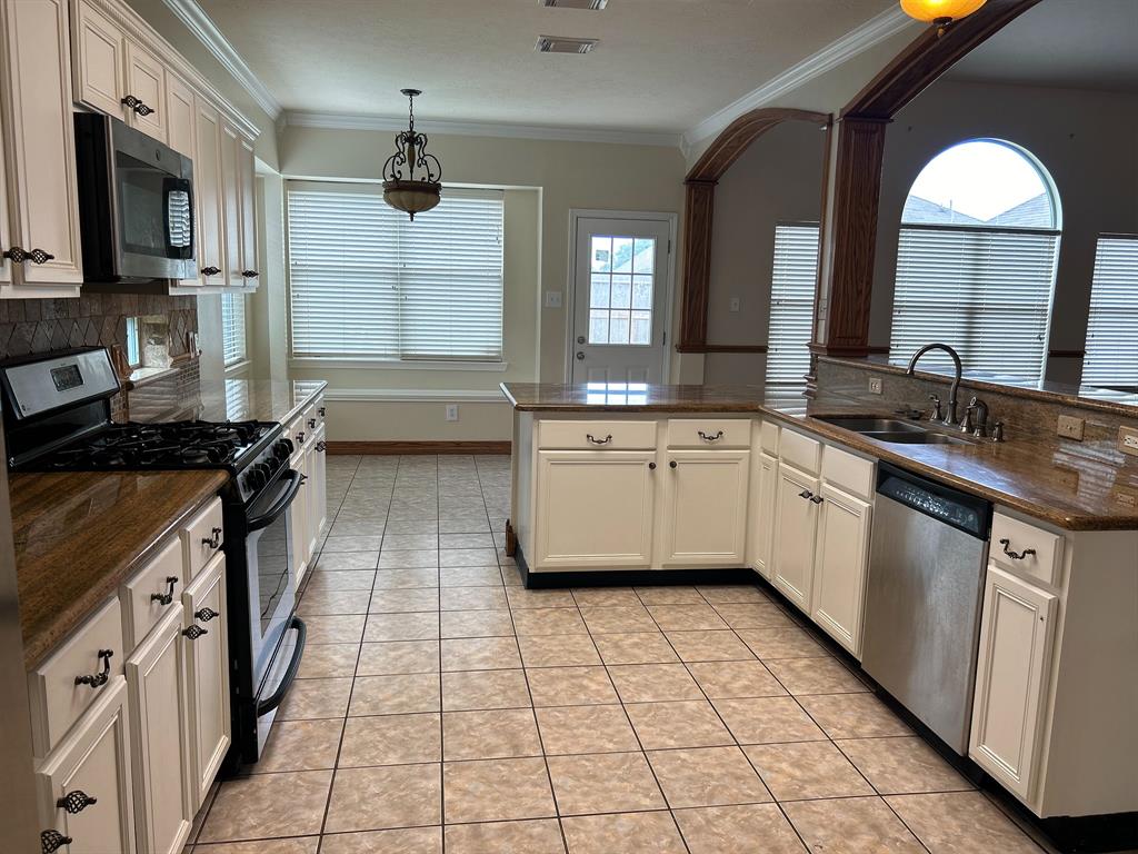 3906 Camelia Glen Lane, Fresno, Texas image 18