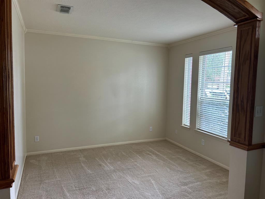 3906 Camelia Glen Lane, Fresno, Texas image 6