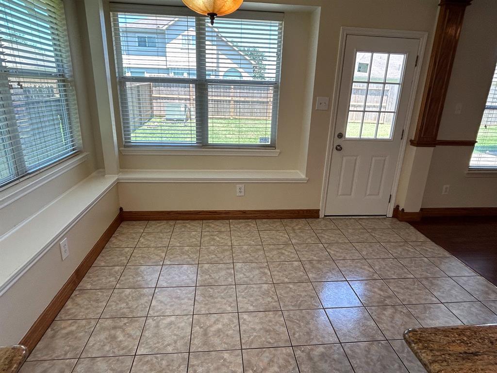 3906 Camelia Glen Lane, Fresno, Texas image 20