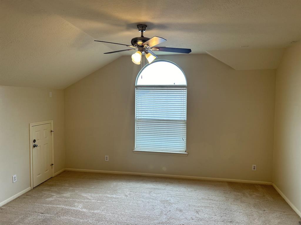 3906 Camelia Glen Lane, Fresno, Texas image 28