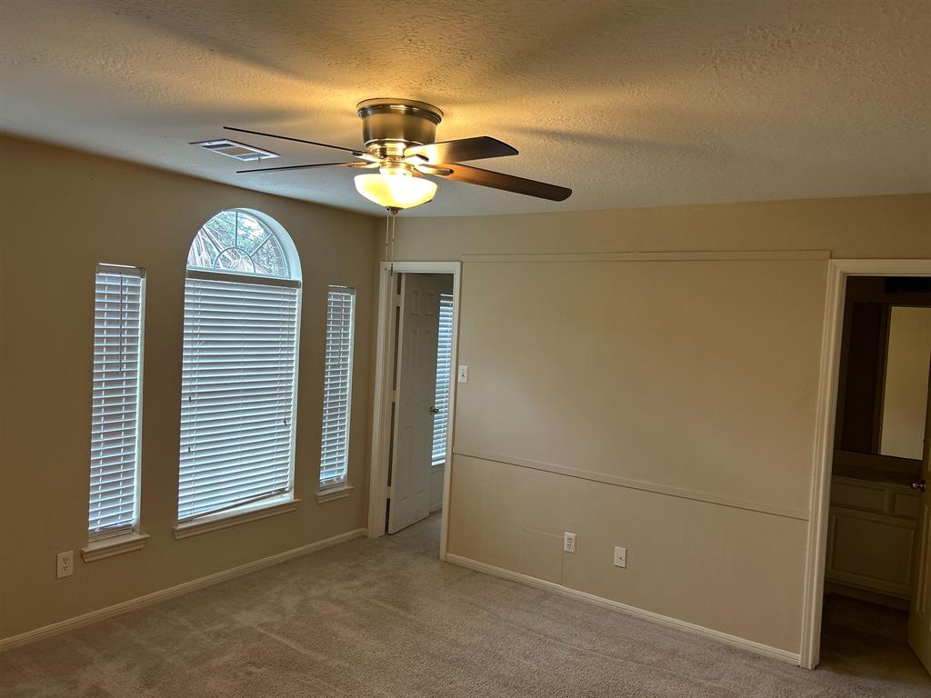 3906 Camelia Glen Lane, Fresno, Texas image 29