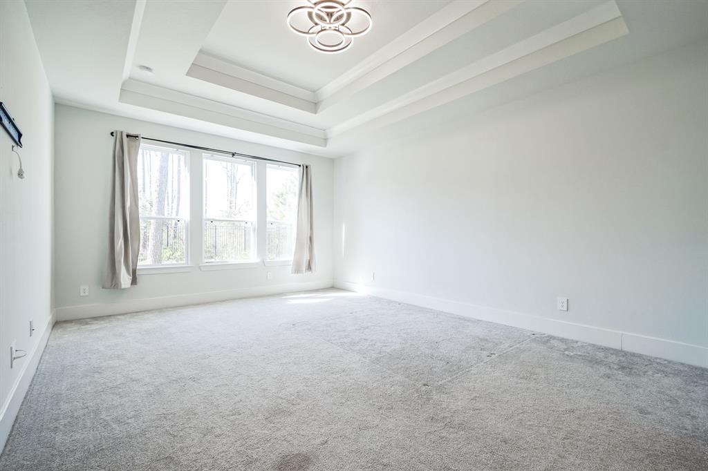 18008 Blu Terrace Drive, Conroe, Texas image 5