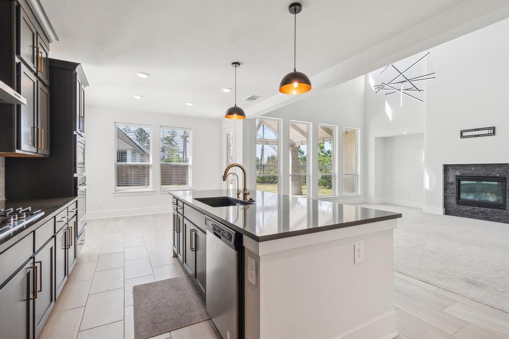18008 Blu Terrace Drive, Conroe, Texas image 13