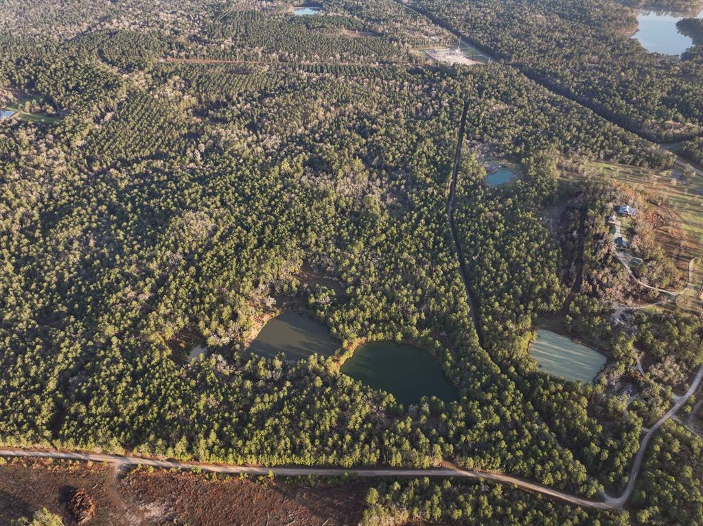 508 Old Staley Rd Rd, Oakhurst, Texas image 36