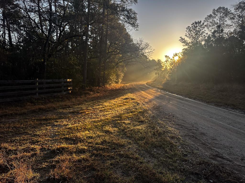 508 Old Staley Rd Rd, Oakhurst, Texas image 29