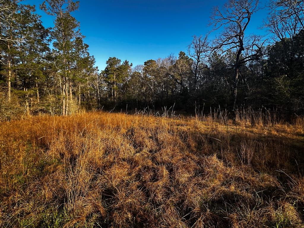 508 Old Staley Rd Rd, Oakhurst, Texas image 13