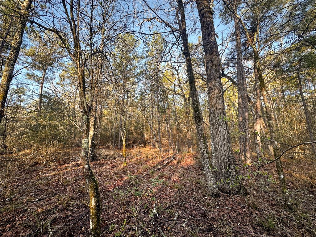 508 Old Staley Rd Rd, Oakhurst, Texas image 17