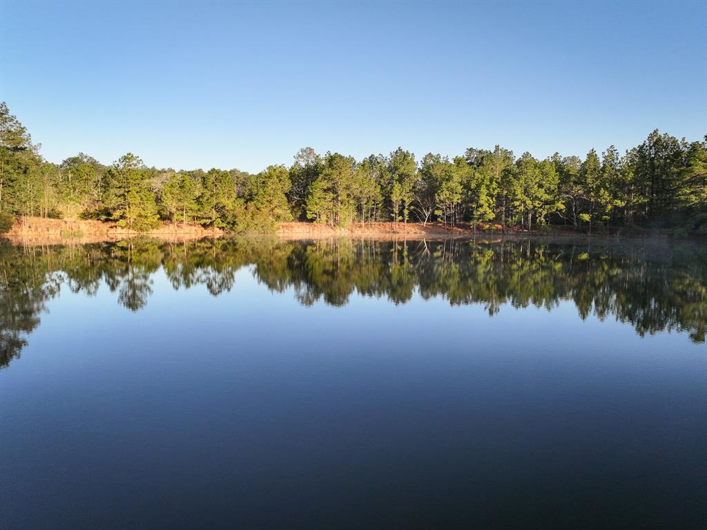 508 Old Staley Rd Rd, Oakhurst, Texas image 34