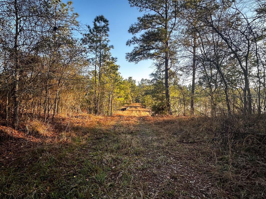 508 Old Staley Rd Rd, Oakhurst, Texas image 26