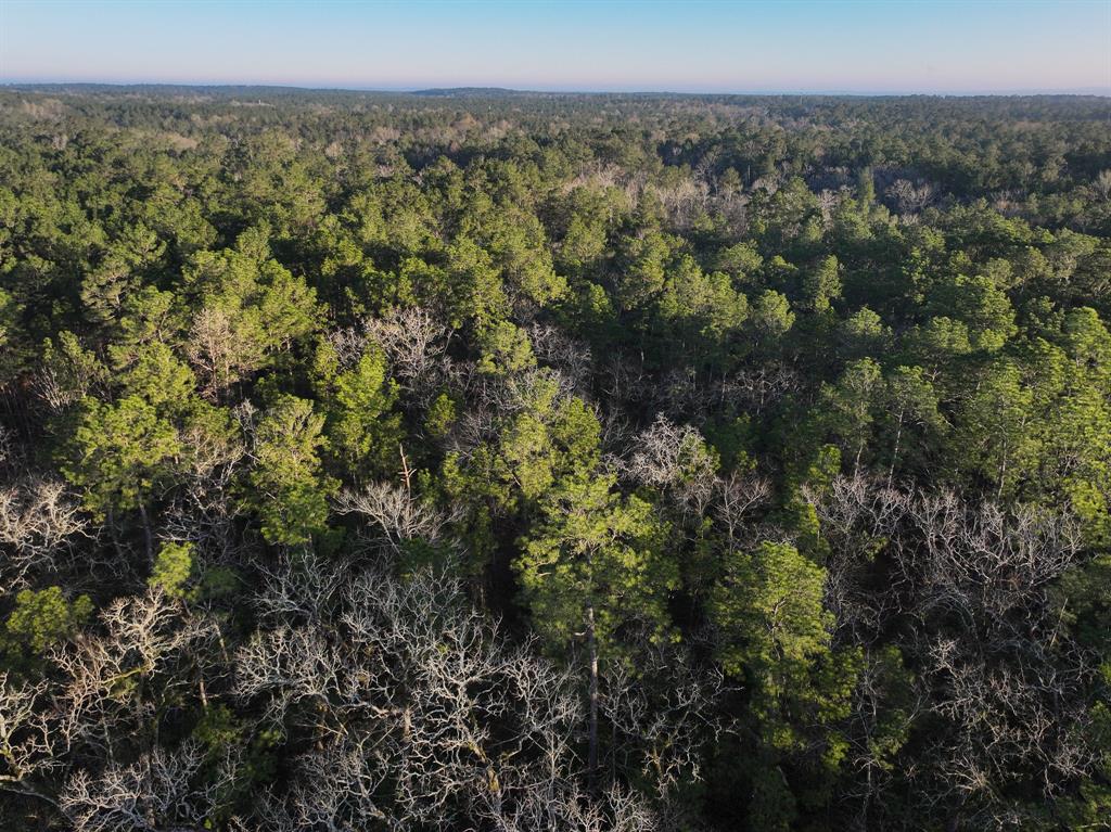 508 Old Staley Rd Rd, Oakhurst, Texas image 2