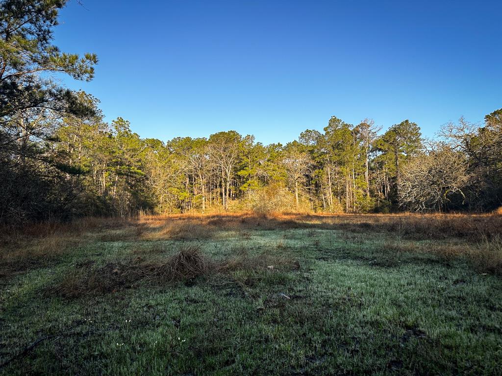 508 Old Staley Rd Rd, Oakhurst, Texas image 18