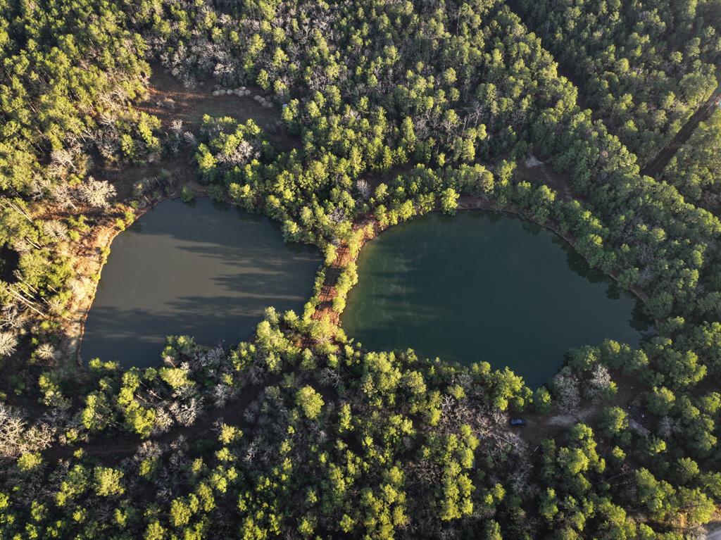 508 Old Staley Rd Rd, Oakhurst, Texas image 35