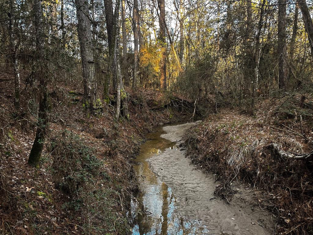 508 Old Staley Rd Rd, Oakhurst, Texas image 10