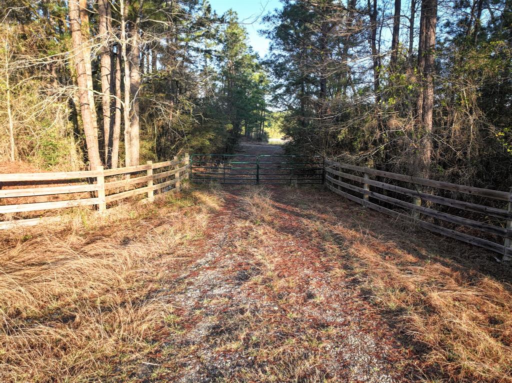 508 Old Staley Rd Rd, Oakhurst, Texas image 30