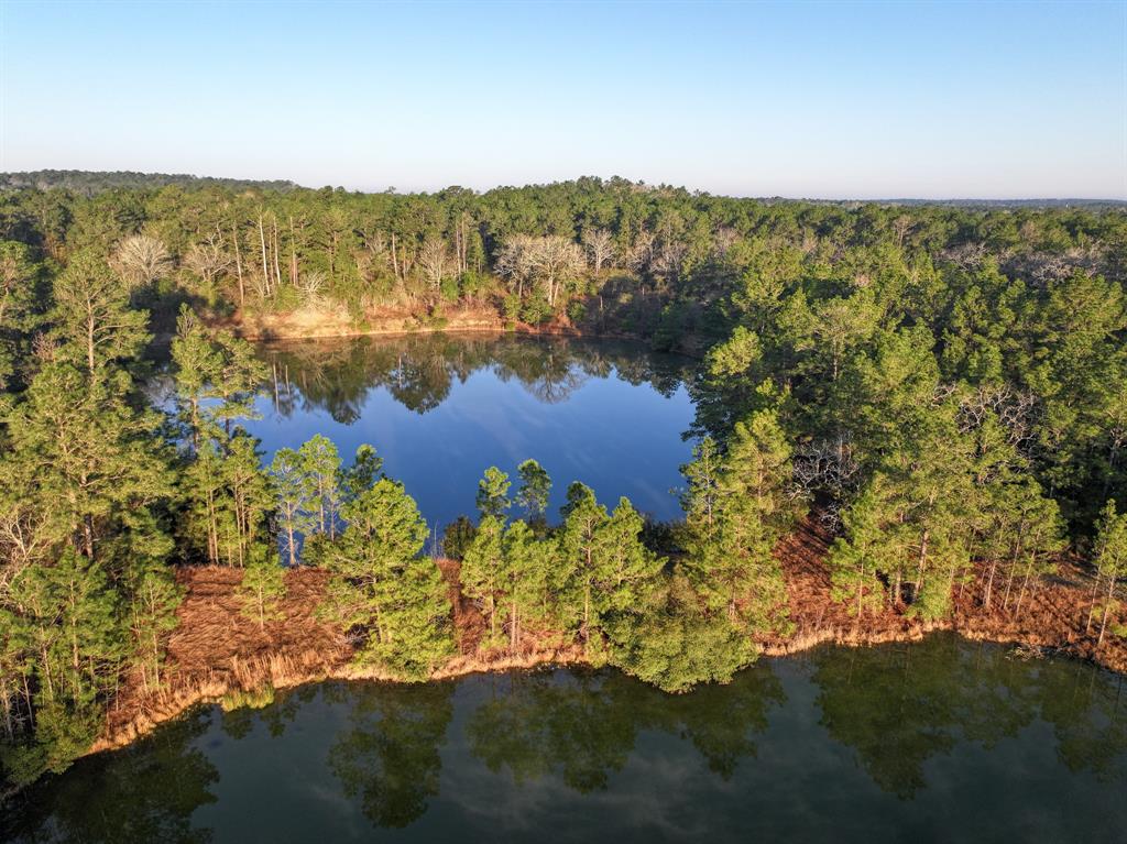 508 Old Staley Rd Rd, Oakhurst, Texas image 33