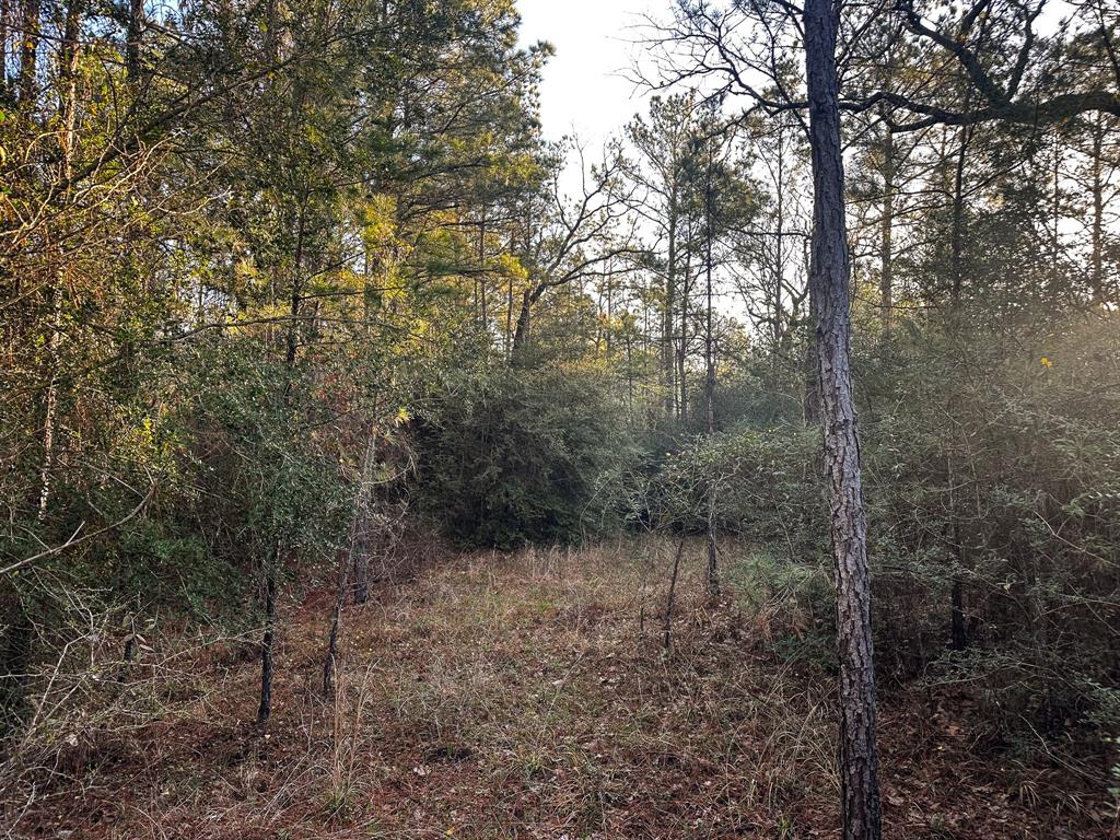 508 Old Staley Rd Rd, Oakhurst, Texas image 20