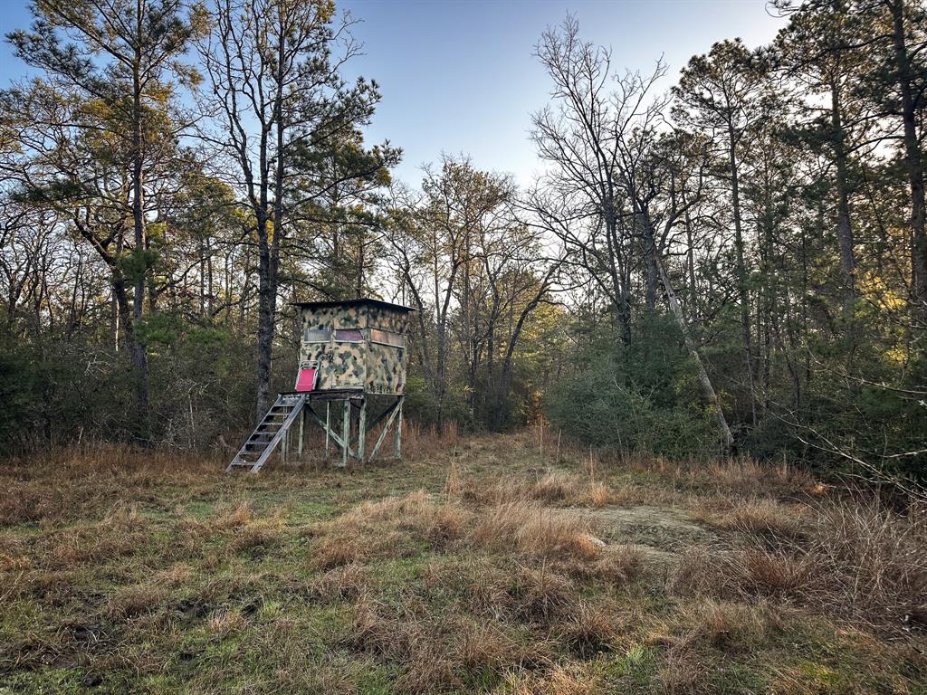 508 Old Staley Rd Rd, Oakhurst, Texas image 19