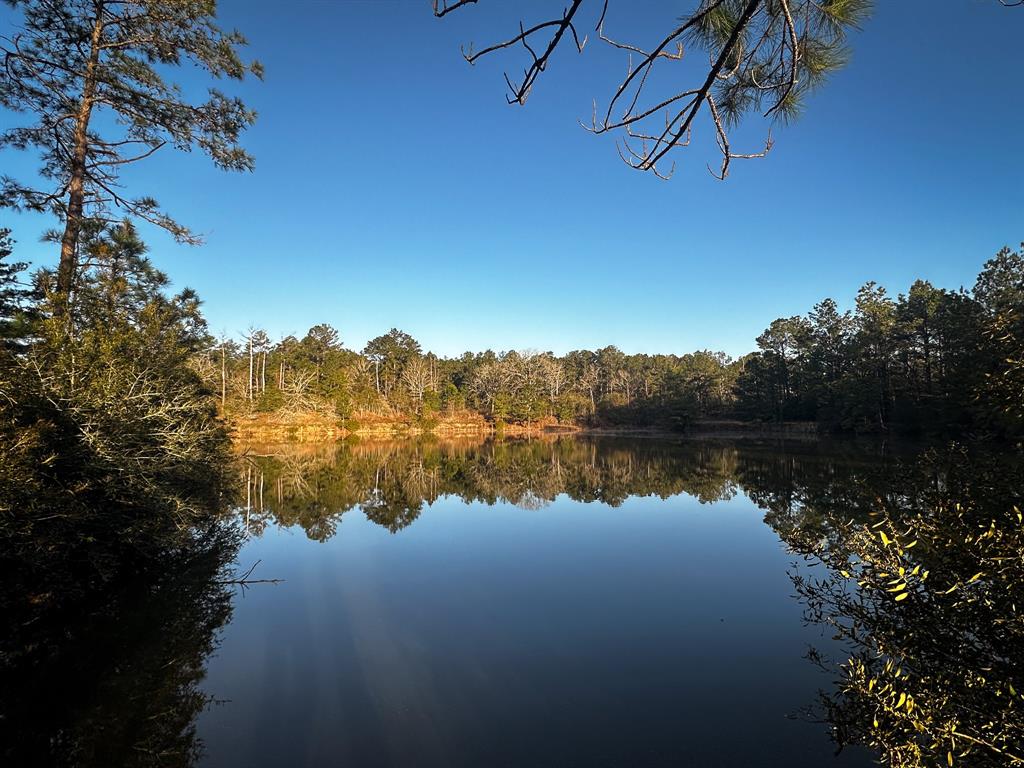 508 Old Staley Rd Rd, Oakhurst, Texas image 24