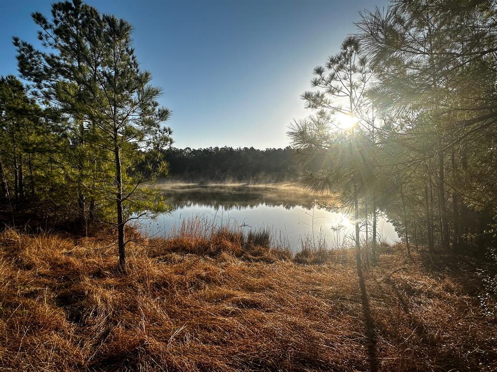 508 Old Staley Rd Rd, Oakhurst, Texas image 25