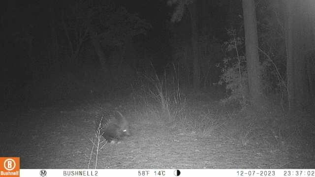 508 Old Staley Rd Rd, Oakhurst, Texas image 22