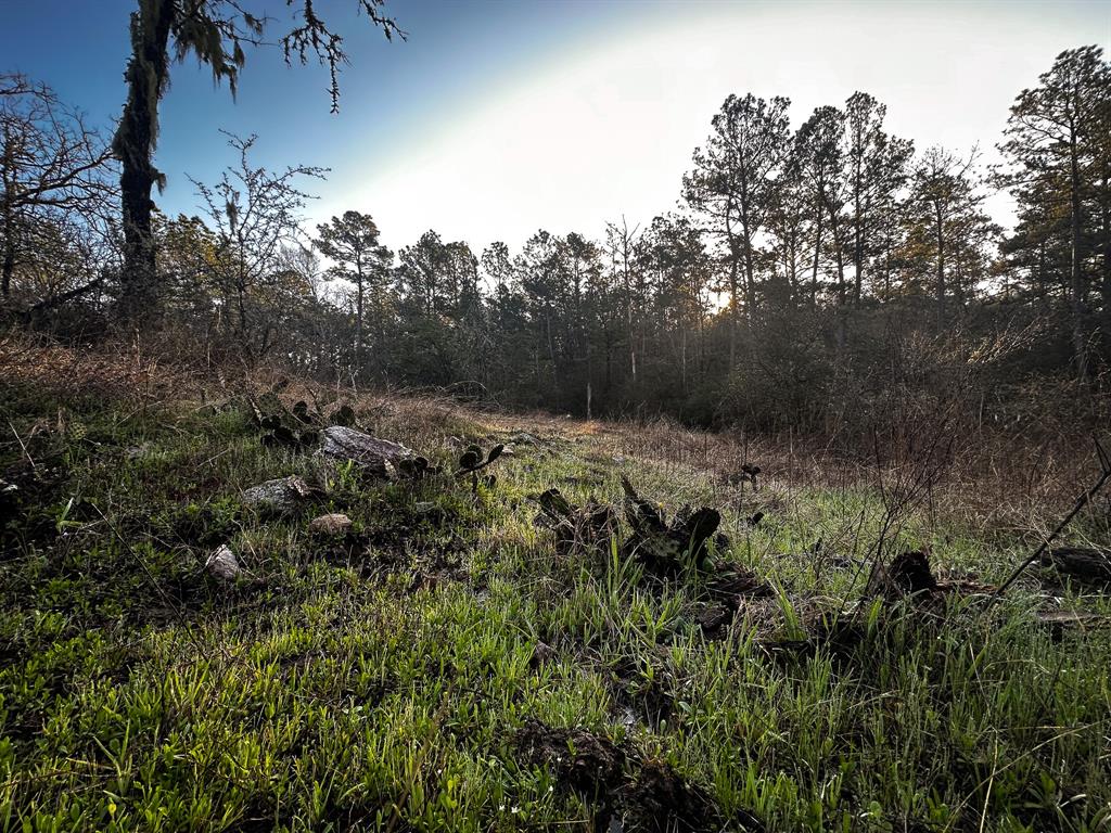 508 Old Staley Rd Rd, Oakhurst, Texas image 16