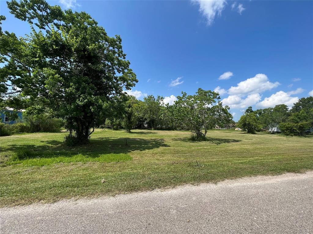 13216 Lake Conroe Bay Road, Willis, Texas image 2