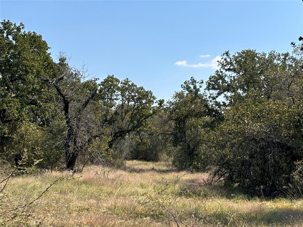 1603 Cr 253, Richland Springs, Texas image 1