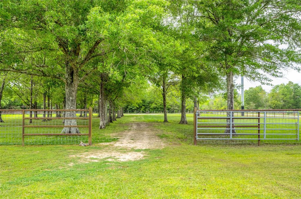 9649 Old Batson Saratoga Road, Sour Lake, Texas image 45