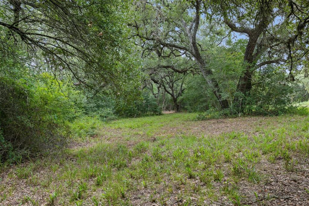 TBD Drake Lane - Lot 26, Round Top, Texas image 5