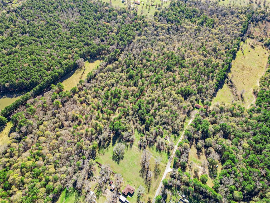 Williams Road, Huntsville, Texas image 13