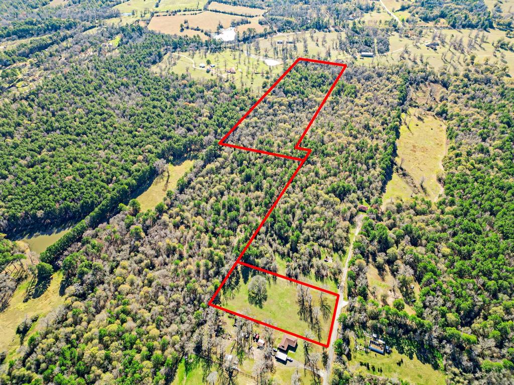 Williams Road, Huntsville, Texas image 1