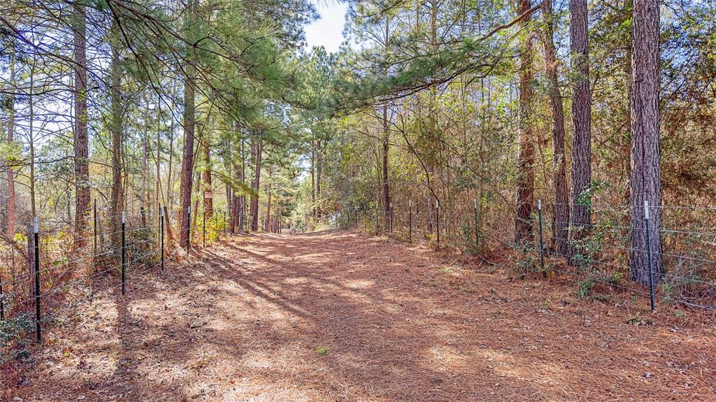 Williams Road, Huntsville, Texas image 7