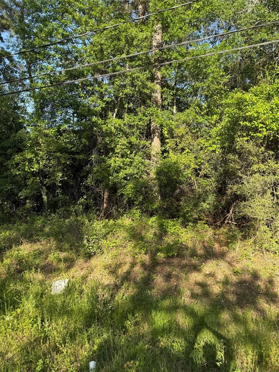 31210 Terri Lane, Magnolia, Texas image 2