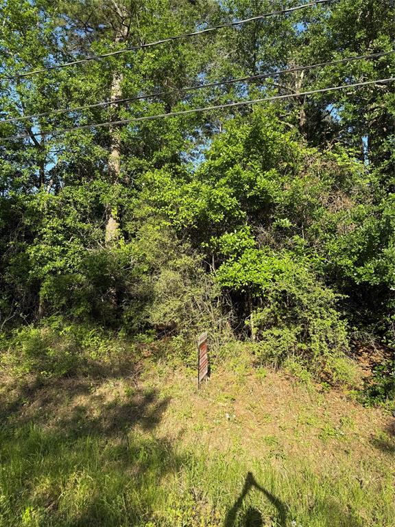 31210 Terri Lane, Magnolia, Texas image 3