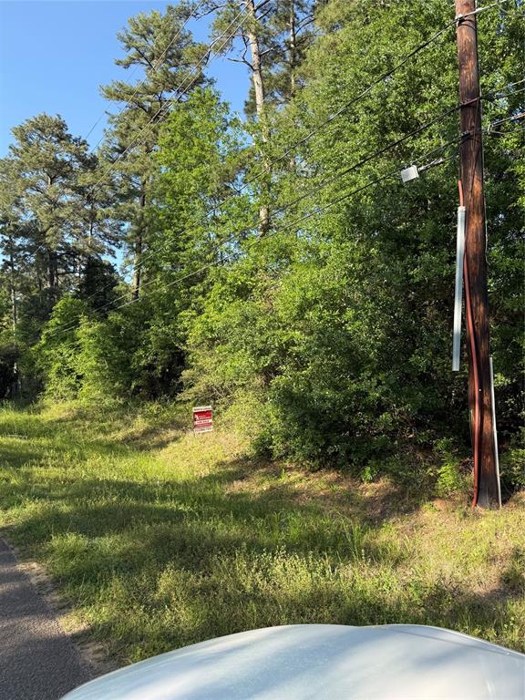 31210 Terri Lane, Magnolia, Texas image 1