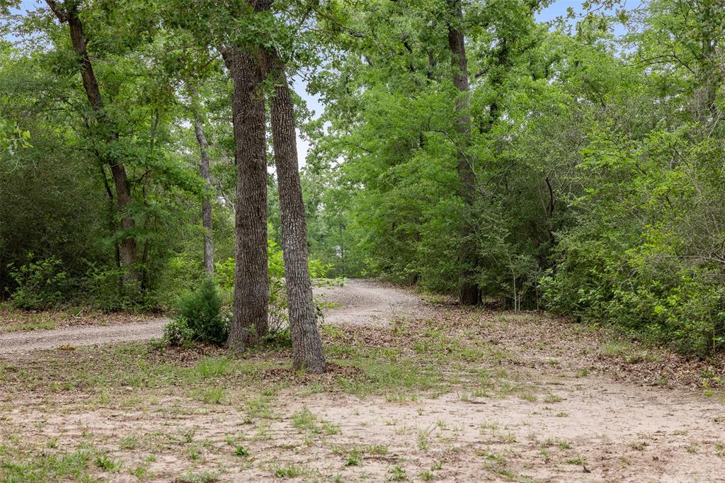3923 Millican Creek Trail, College Station, Texas image 39