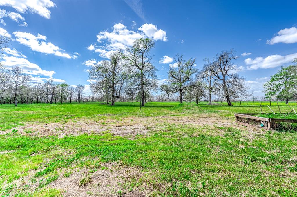 3607 Peach Creek Drive, Wharton, Texas image 37