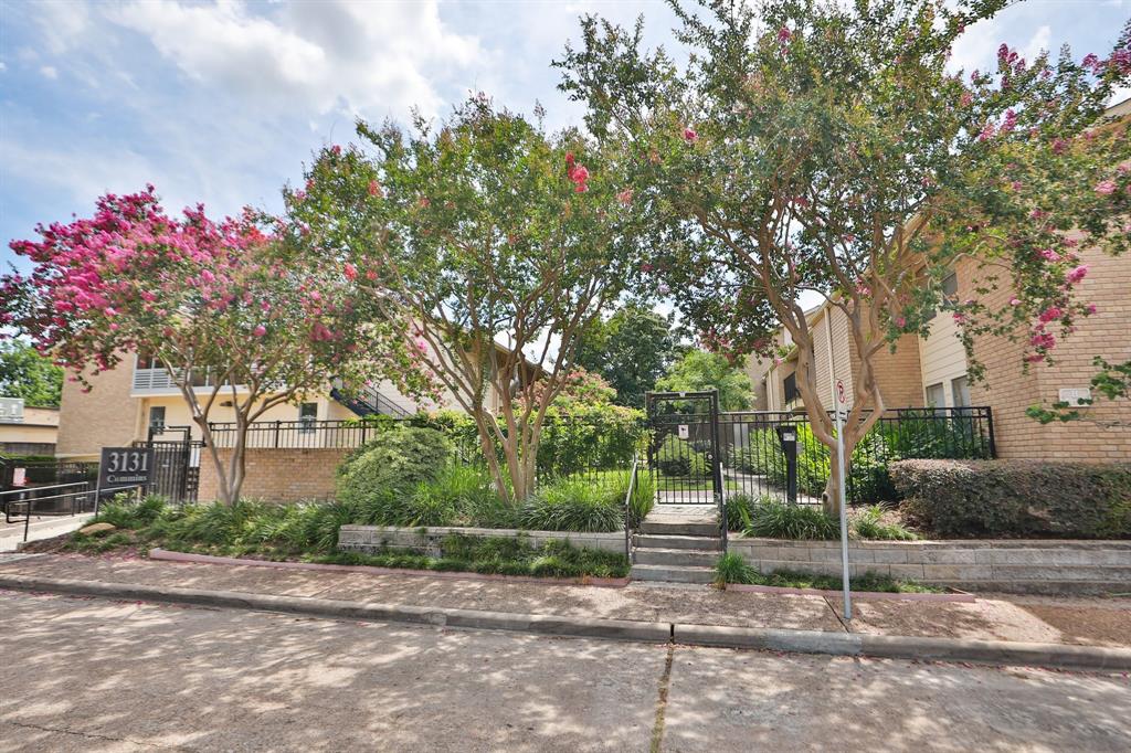 3131 Cummins Street 50