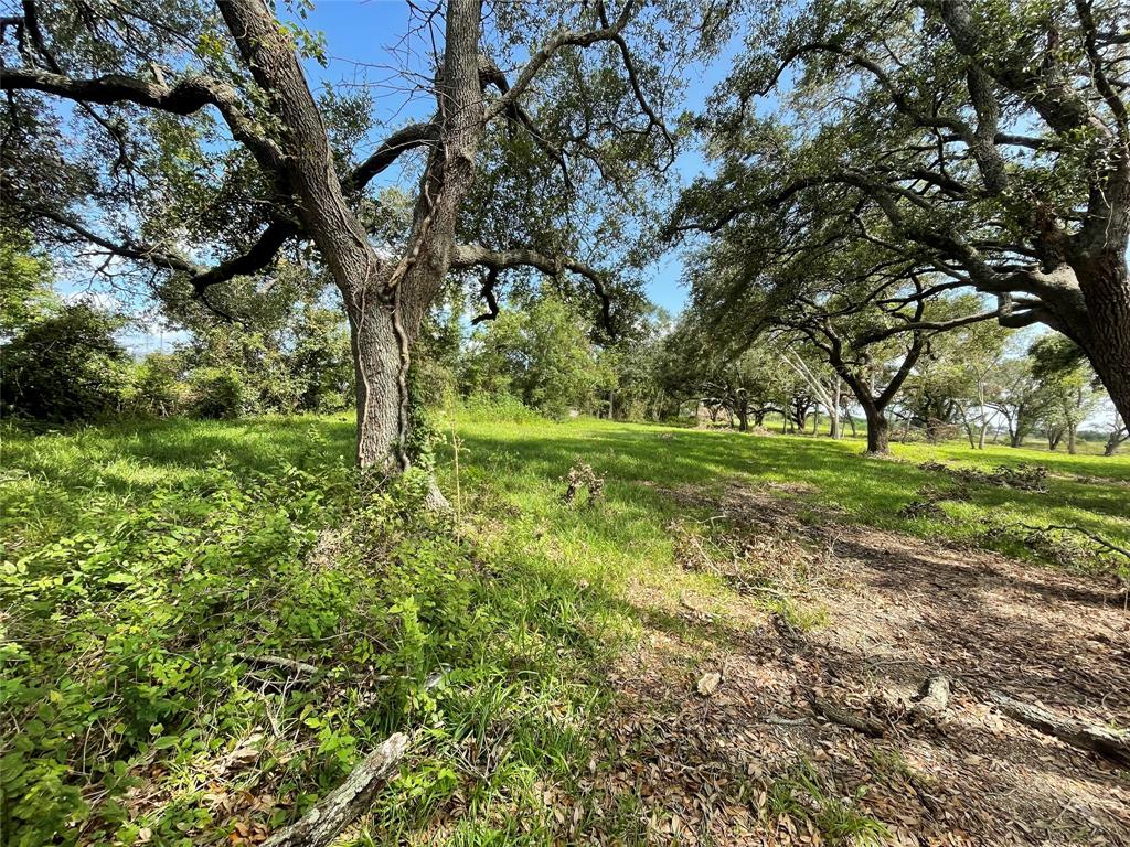 4903 Davenport Parkway, Rosharon, Texas image 9