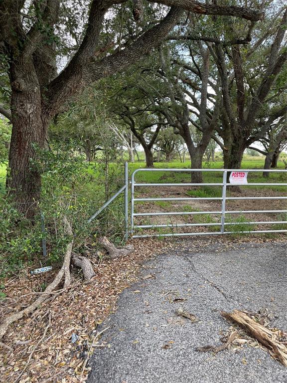 4903 Davenport Parkway, Rosharon, Texas image 4