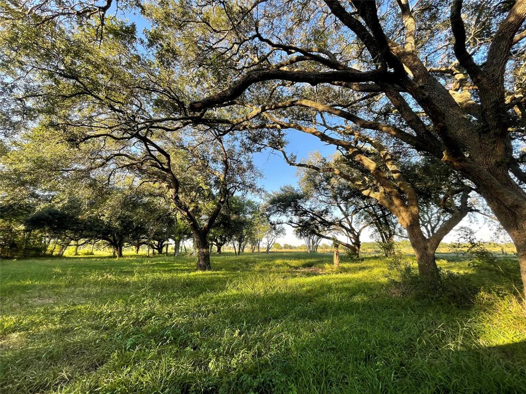 4903 Davenport Parkway, Rosharon, Texas image 1