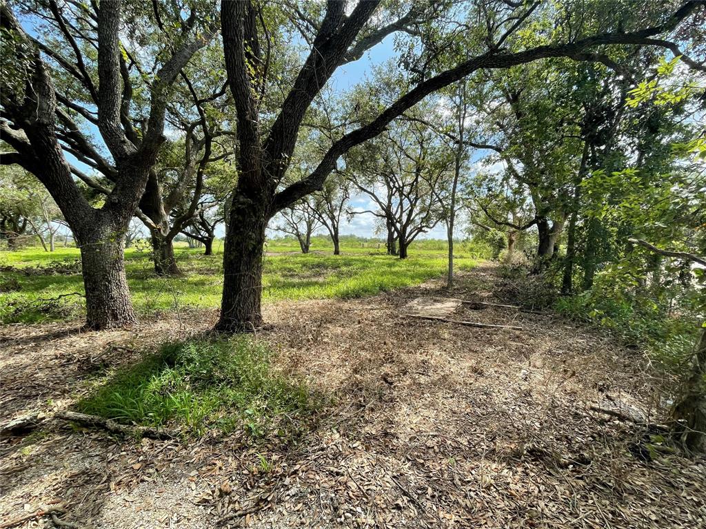 4903 Davenport Parkway, Rosharon, Texas image 8